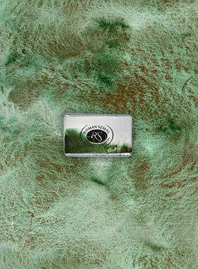 波兰RS大师级水彩颜料大师级2025年12月特别限定色绿色