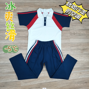 潮安东凤东二内畔下张昆江中小学生夏服秋校服 天资校服 凉感