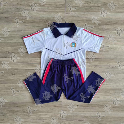 天资校服  广东潮州潮安凤凰华侨学校学生夏服秋冬装校服