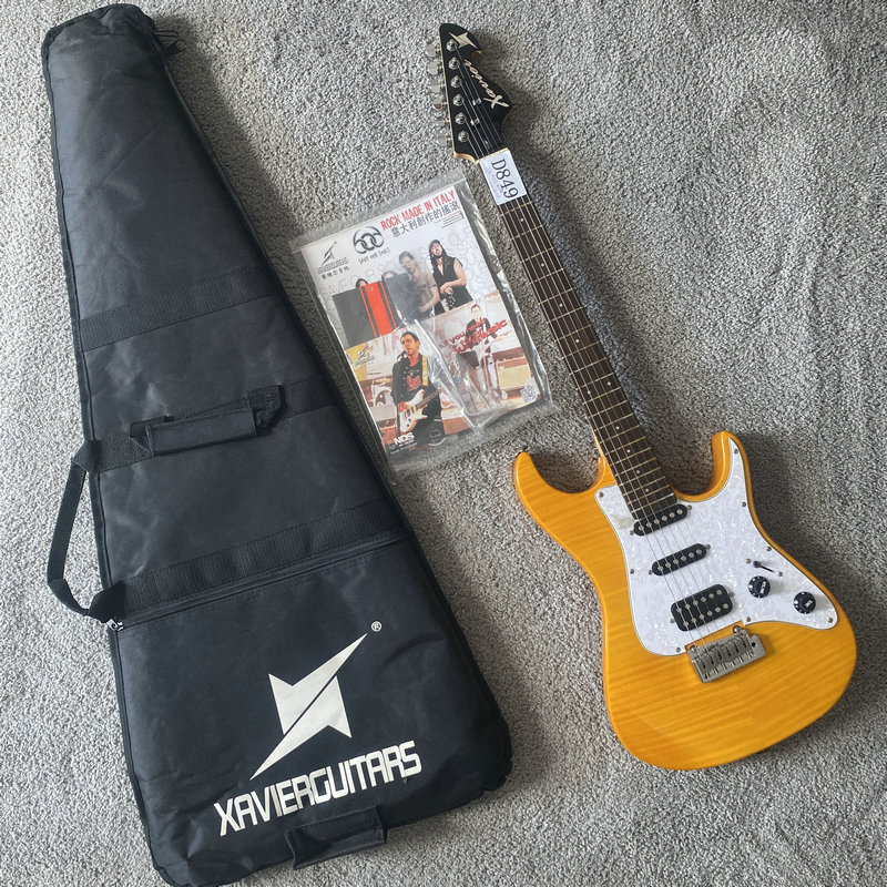 小双摇电吉他xavier维尔金森