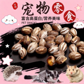 蜜袋鼯零食坦克虫幼虫洋辣子蜜袋鼬松鼠睡鼠刺猬仓鼠花枝鼠飞鼠