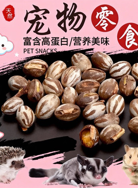 爪爪乐园坦克虫幼虫蜜袋鼯零食
