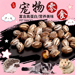 爪爪乐园坦克虫幼虫蜜袋鼯零食