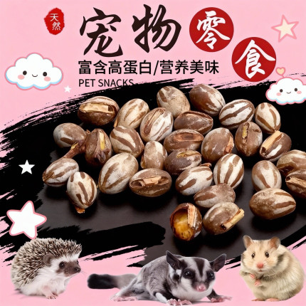 蜜袋鼯零食坦克虫幼虫洋辣子蜜袋鼬松鼠睡鼠刺猬仓鼠花枝鼠飞鼠