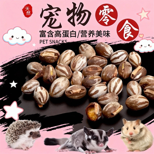 爪爪乐园坦克虫幼虫蜜袋鼯零食