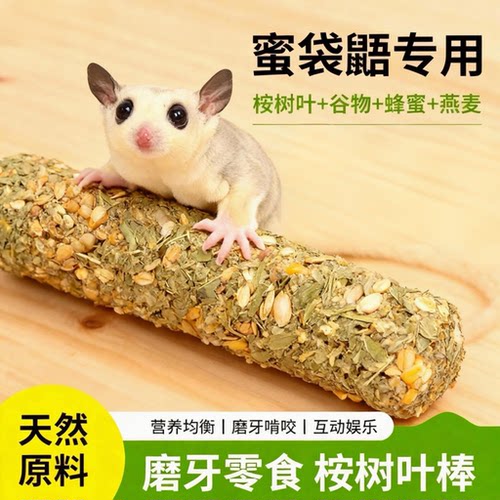 蜜袋鼯零食桉树叶磨牙棒花枝鼠