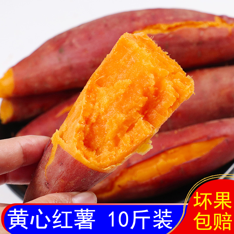 新鲜黄心红薯10斤河南沙地番薯烤地瓜糖心农家山芋板栗果蔬菜香薯