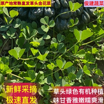 俊建现摘网红草头金花菜