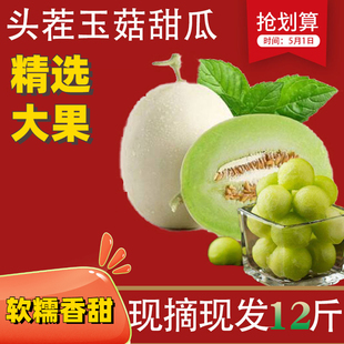 头茬玉菇甜瓜东台新鲜水果16斤整箱当季时令白皮小香瓜非上海南汇