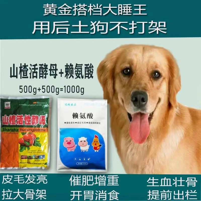 兽用肉狗大睡王催促生长皮毛发亮土狗用后不打架赖氨酸中华田园犬
