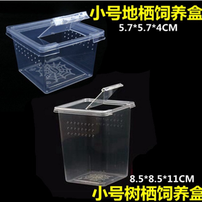 中方盒爬虫饲养盒爱尚爬爬宠盒