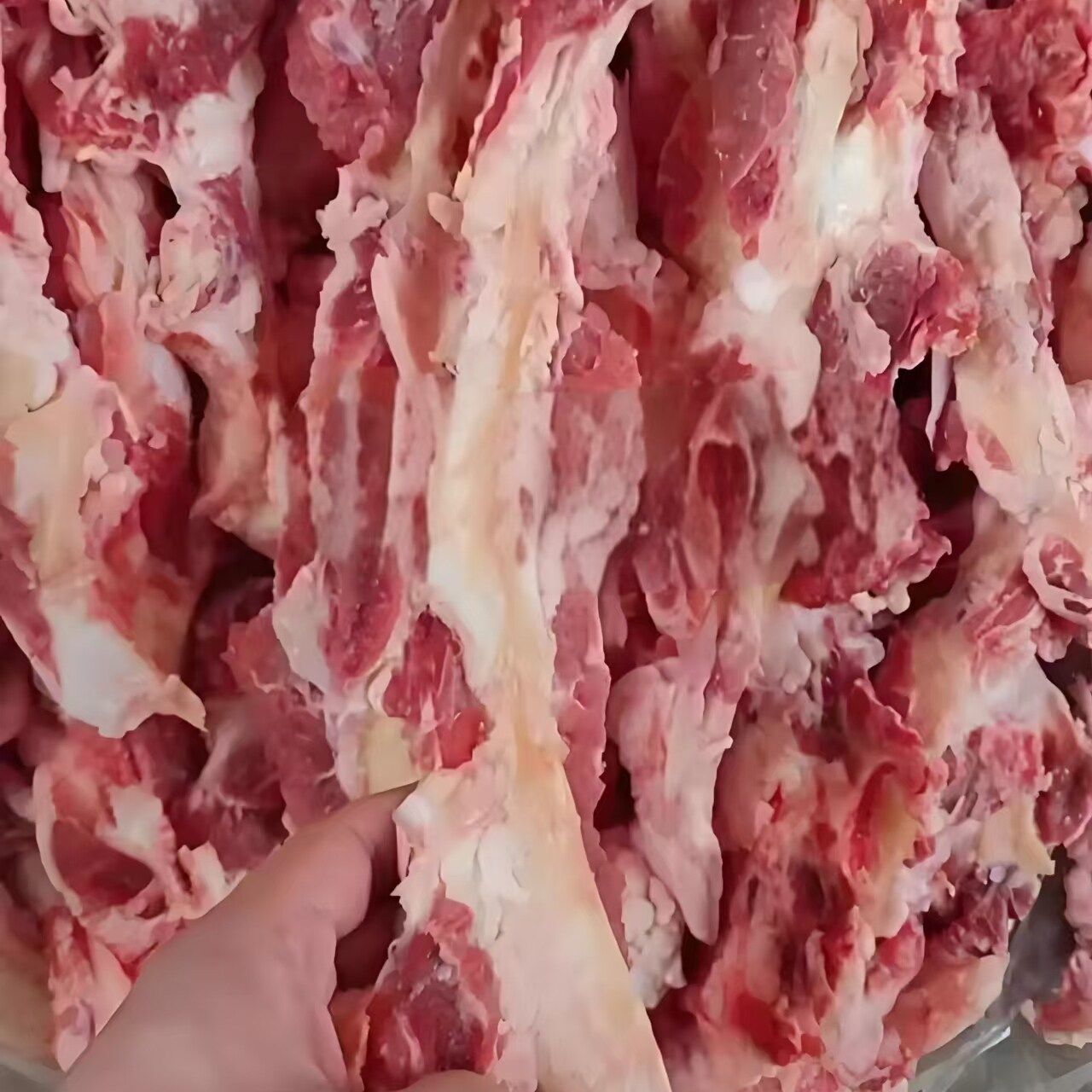 新鲜现杀牛霸王鞭牛骨头带筋带肉肥瘦相间牛霸王炖卤烧烤顺丰包邮