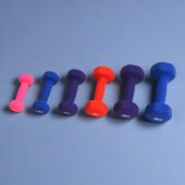 恒达女士哑铃一对2kg健身瘦臂家用儿童浸塑哑铃初学男女通用瑜伽