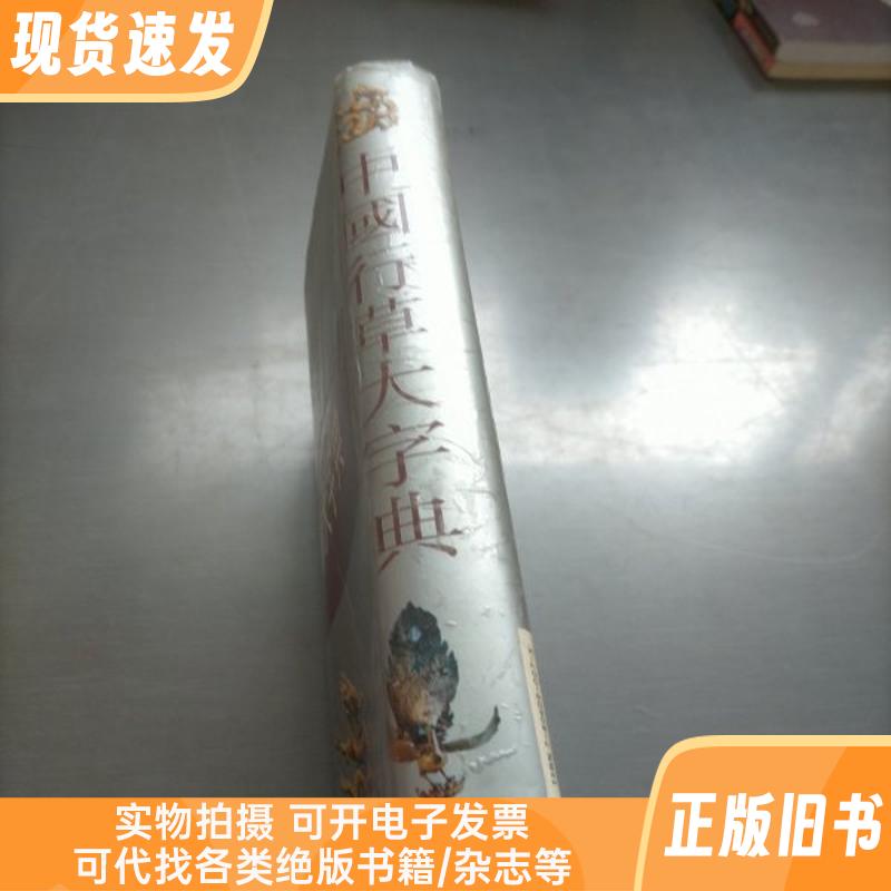 中国行草大字典