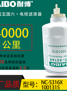 1001315小油专用电喷长效油水分离DS661024旗铃北京骐铃NC-5316X