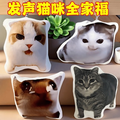 发声玩偶杨戬猫希特猫主播猫玩偶