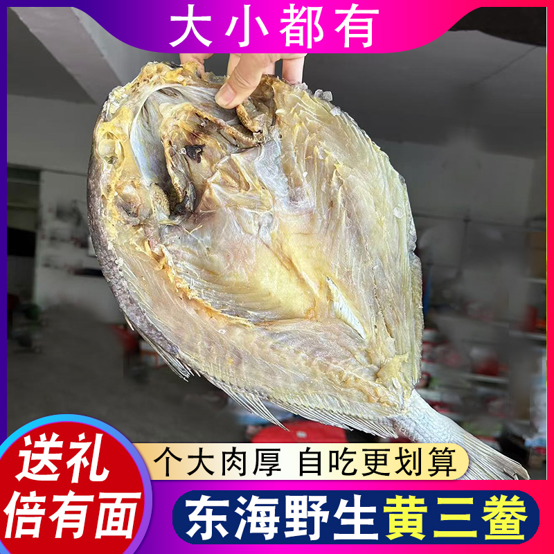整条黄三鲞大黄鱼干白姑鱼咸白鲞