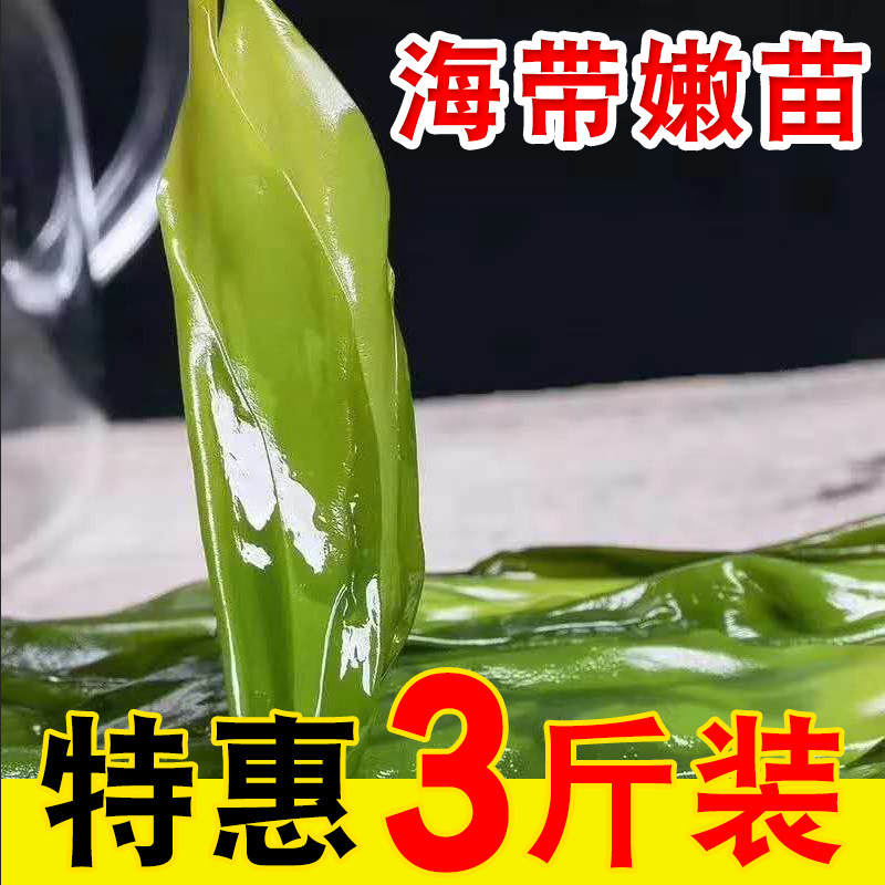 海带嫩苗3斤霞浦新鲜特嫩海带盐渍嫩苗嫩芽 裙带海菜芽海鲜非干货