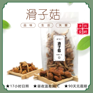 滑子菇樟子松菌蘑类东北黄干货一非野生山珍土特产级大兴安岭50g