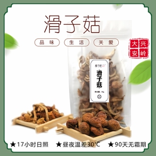 樟子松大兴安岭滑子菇干货袋装非野生正品特产食用菌