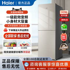 海尔两门电冰箱家用双门变频一级节能风冷无霜大容量官方309WMCO