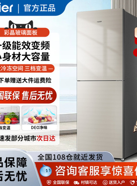 海尔两门电冰箱家用双门变频一级节能风冷无霜大容量官方309WMCO