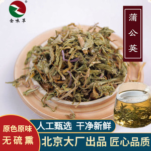 买3送1食味草精选蒲公英500克中药材新货 婆婆丁干公英蒲公英泡茶