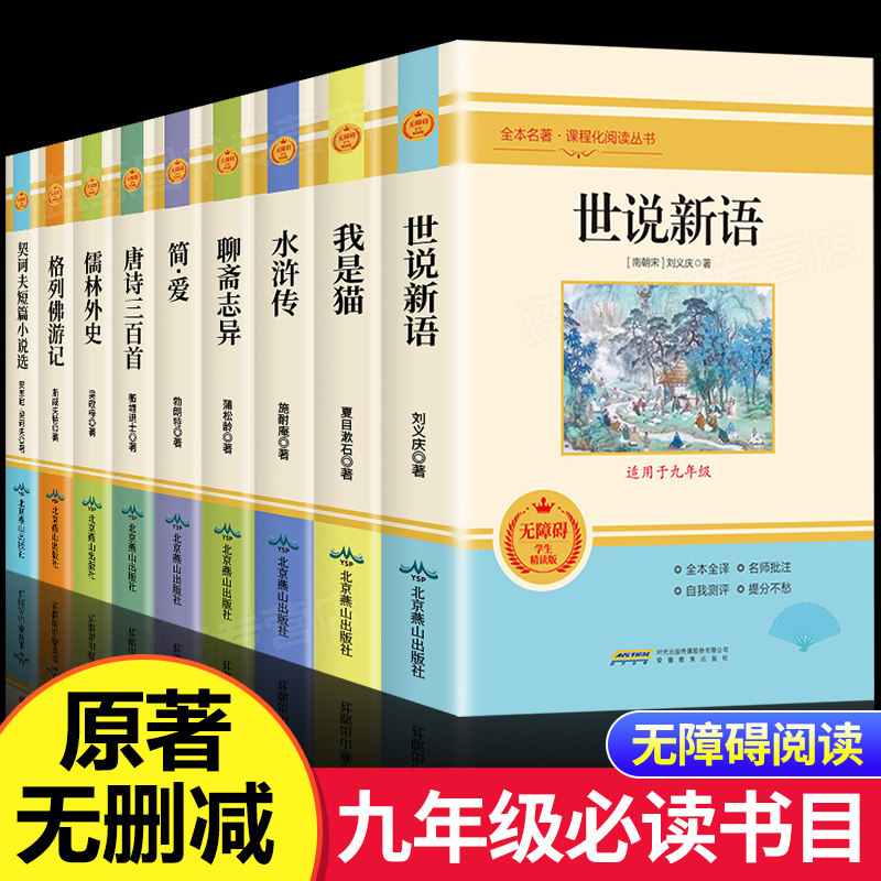 初中九年上册名著水浒传艾青诗选
