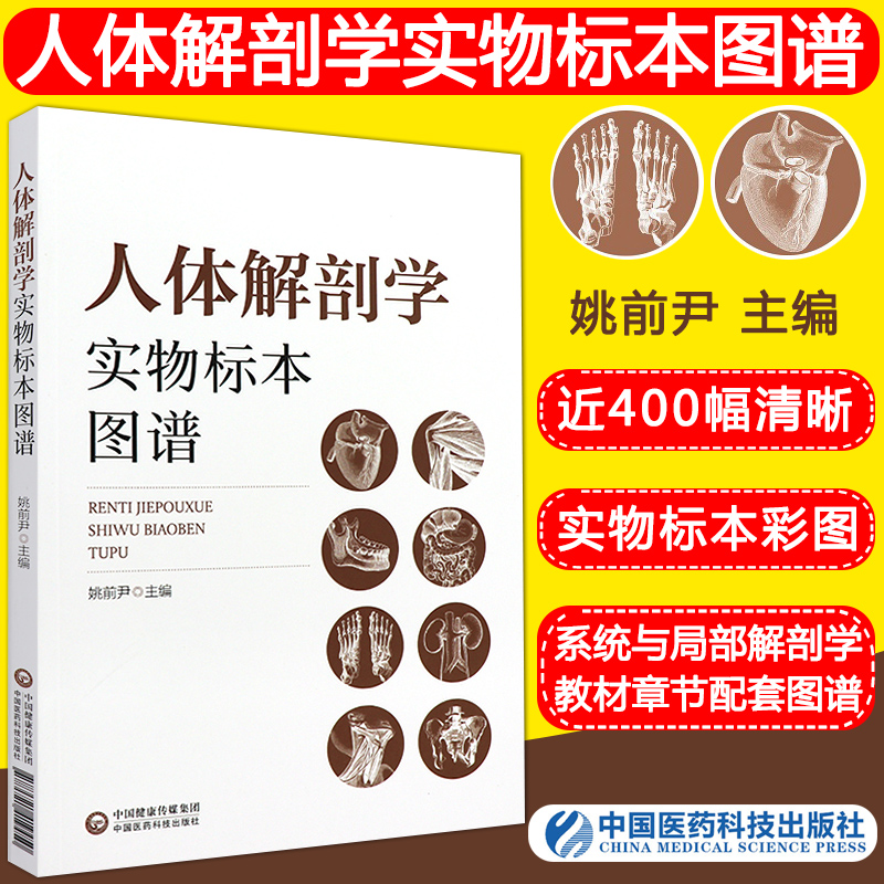 人体解剖学实物标本图谱彩色学配套教材书系统局部系统解刨学奈特书籍2023全身正常医学实用动态局解全彩绘图彩图9787521419450