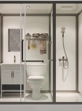 整体淋浴房卫生间建议洗澡间一体式集成厕所浴室卫浴蹲坑淋浴房