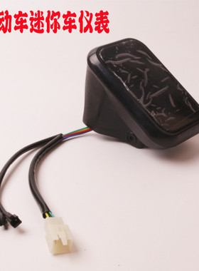 电动车仪表大灯总成24v36v48v电瓶车通用款迷你小海豚简易款灯头