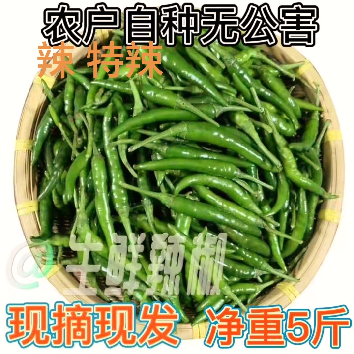 新鲜青辣椒特辣朝天小米泡椒蔬菜