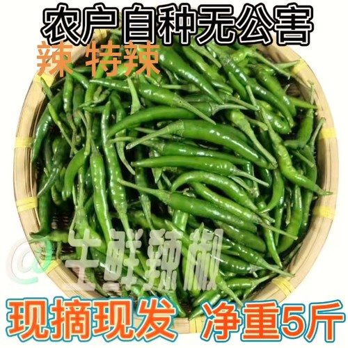 新鲜青辣椒特辣朝天小米泡椒蔬菜