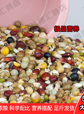 天津佳翔鸽粮鸽子粮食幼鸽粮赛飞鸽粮食营养粮育雏粮魔鬼粮下乳粮