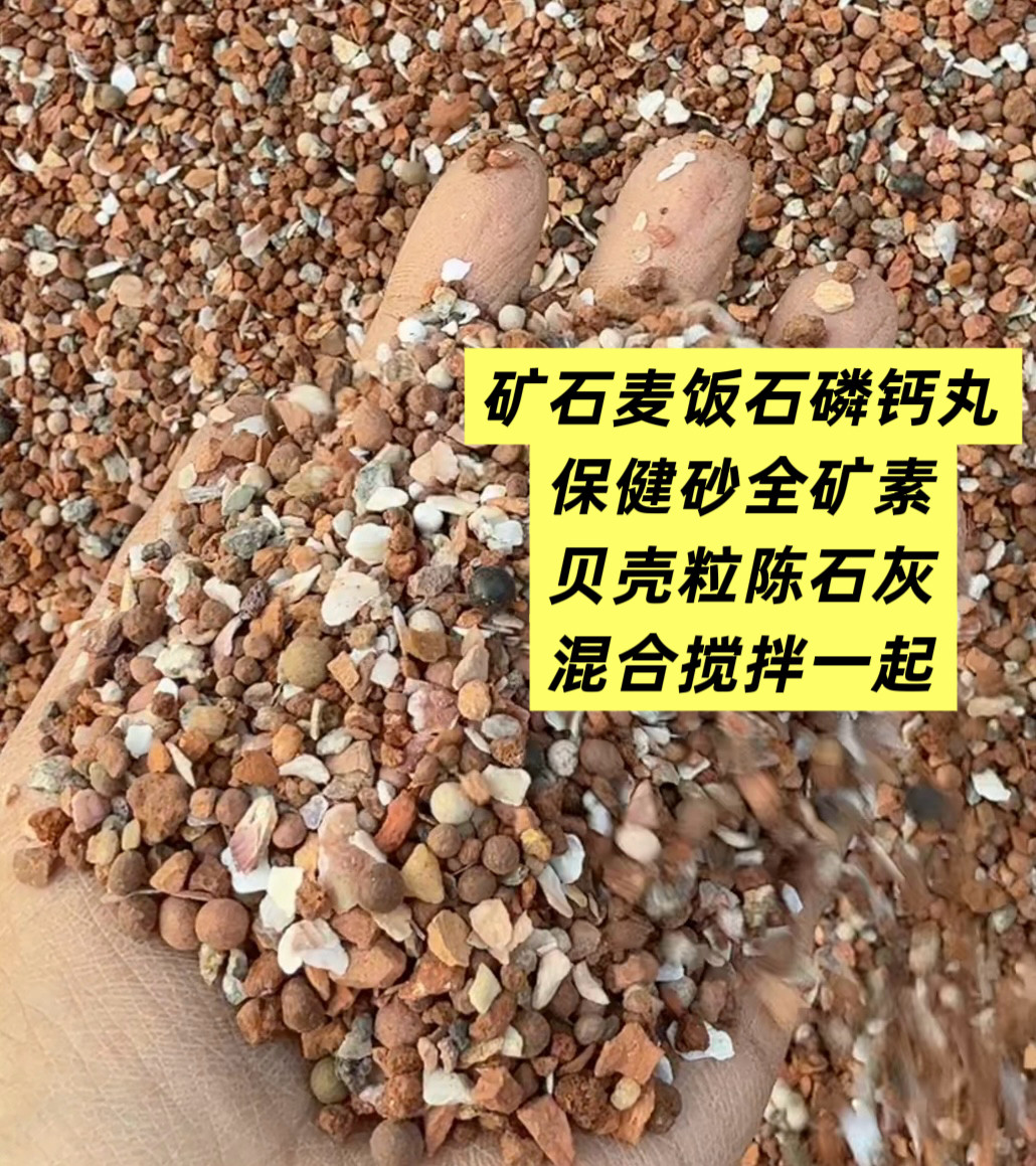 40种鸽子保健砂混合保健砂红矿石全矿素麦饭石贝壳粒陈石灰磷钙丸