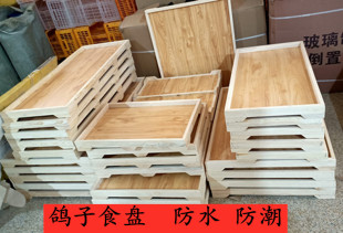 鸽子用品用具信鸽食槽实木食盘料槽松木食盘防水防潮赛鸽笼养食盘