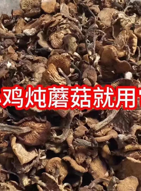 榛蘑东北野生榛蘑新货野生蘑菇晒干农家东北榛蘑野蘑菇新鲜正宗