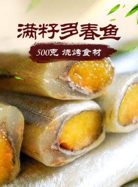 500g海鲜水产烧烤食材冷冻多春鱼