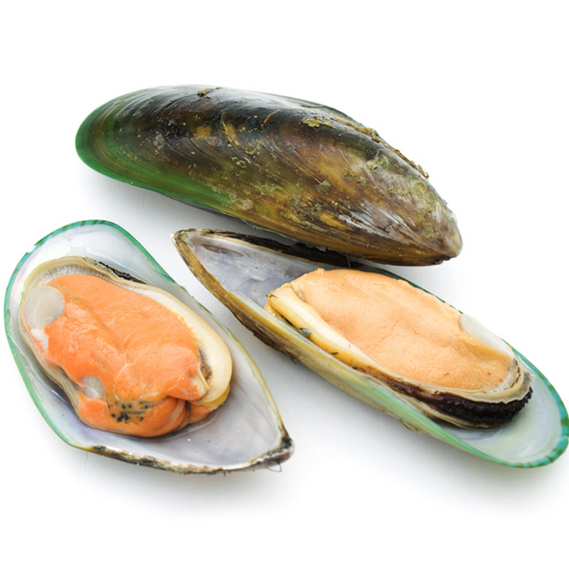 新鲜冷冻半壳翡翠贻贝海鲜水产