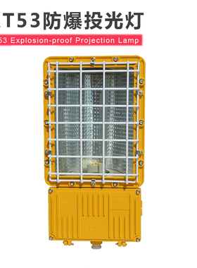 BAT53防爆泛光灯 BAT52三防金卤灯250W400W 化工防爆路灯BTC6150