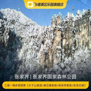 [张家界国家森林公园-三索一梯多程联票【天子山索道+黄石寨索道+杨家界索道+百龙天梯】]