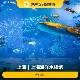 [上海海洋水族馆-大门票]上海海洋水族馆