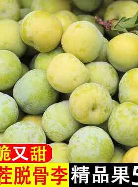 脱骨李正宗四川李子新鲜脆甜空心李5斤孕妇水果三月蜂糖巫山当季3