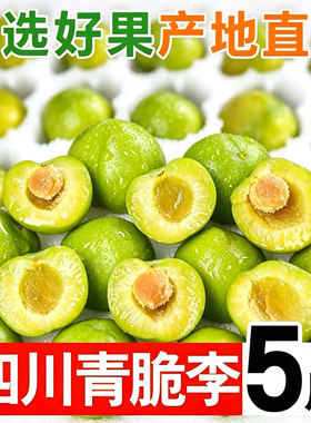 头茬四川青脆李脱骨李子新鲜当季孕妇水果5斤包邮清脆李酸甜巫山