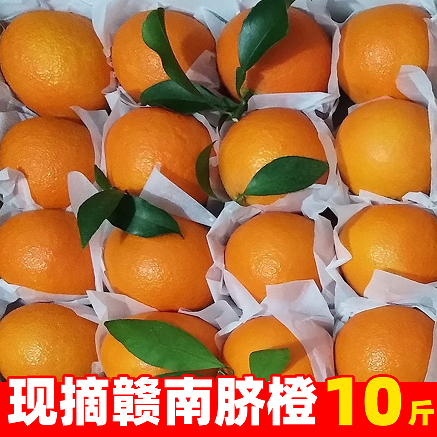 纯甜赣南脐橙现摘橙子新鲜水果江西赣州10斤当季大果爆汁农家自种
