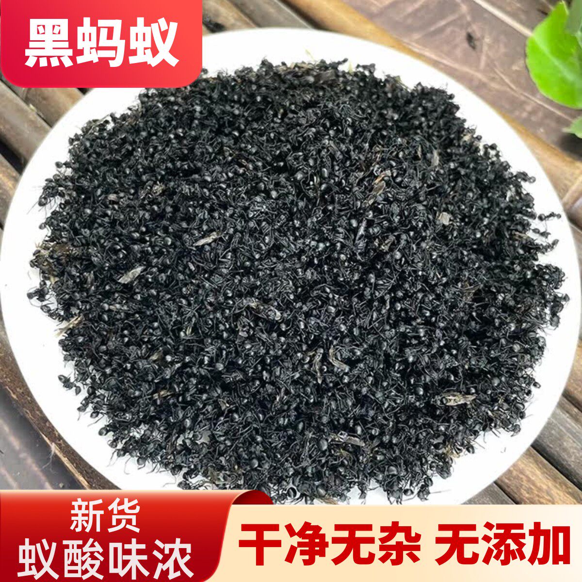 黑蚂蚁中药材泡酒料横县野生拟黑多刺蚁正宗蚂蚁干500g黑蚂蚁粉