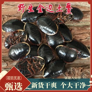 中药材金边土鳖虫250g新货土别非中华土元地乌龟金边土元地鳖粉