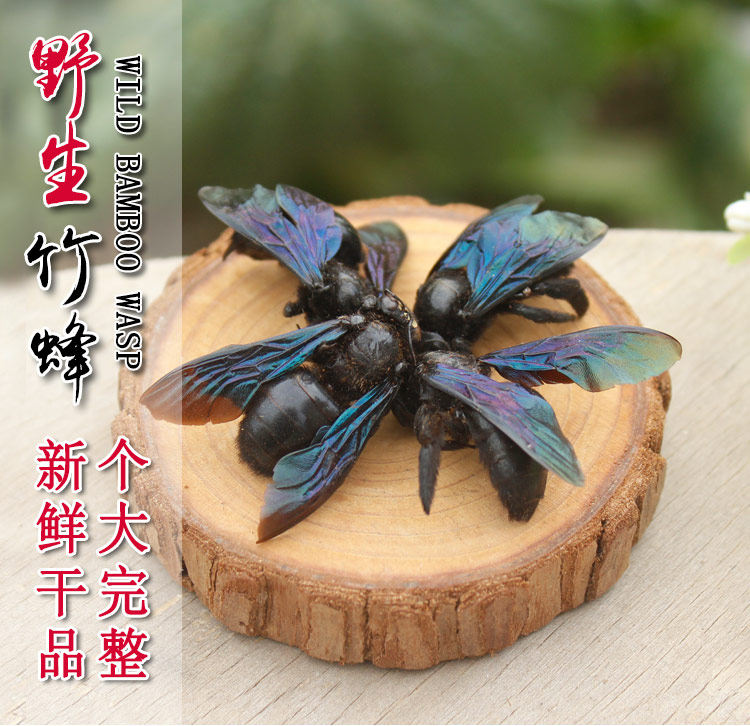 广西竹蜂20只大盐竹蜂乌蜜蜂竹筒蜂中药材泡水声哑咽痛新货咸竹蜂