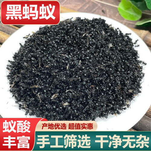 黑蚂蚁中药材横县蚂蚁干泡酒料