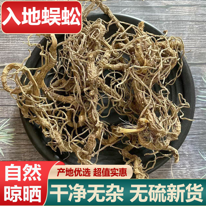 入地蜈蚣中药材正品蜈蚣草新货水蜈蚣倒地蜈蚣500g七指蕨根煮水
